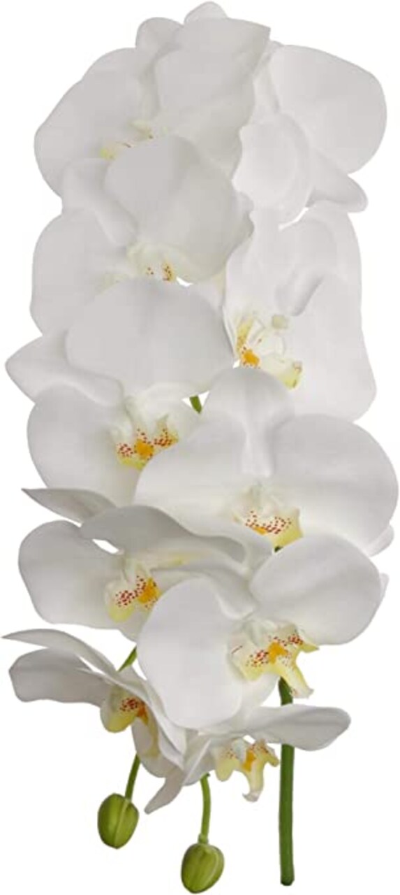 6-Pack: Massive White Phalaenopsis Orchid Stem, Floral Home by Artificial Flowers